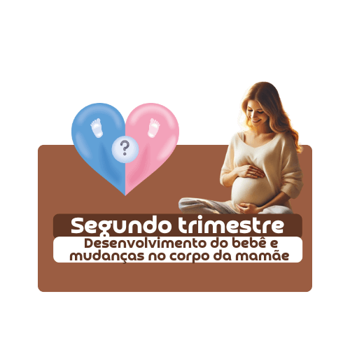 Segundo Trimestre: Desenvolvimento do Bebê e Mudanças no Corpo da Mamãe